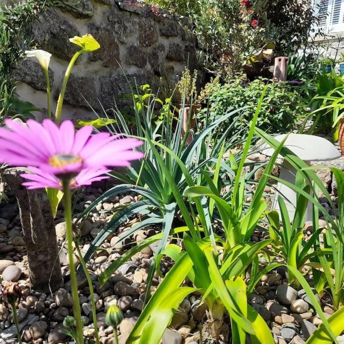 Corvus - Beautiful Cottage Half A Mile From Mousehole Πενζάνς Εξωτερικό φωτογραφία
